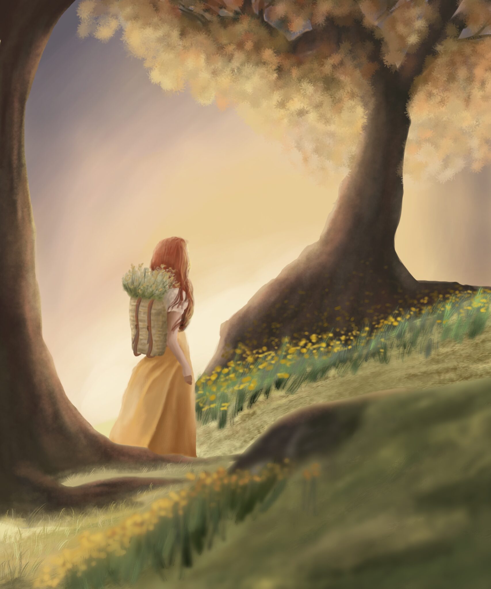 Jour n°8 : Randonnée, promenade