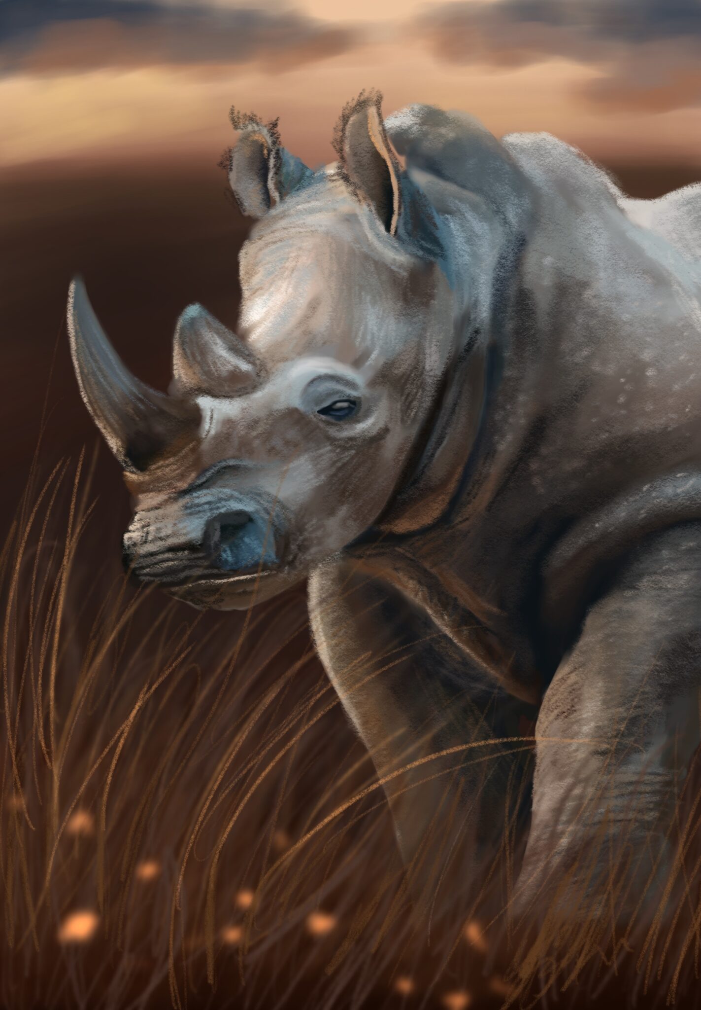 Jour n°21 : Rhinocéros